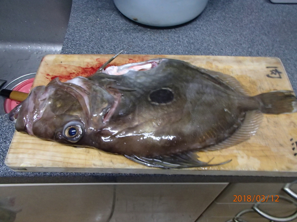 f:id:akihirofishing:20190110175311j:plain f:id:akihirofishing:20190110175311j:plain