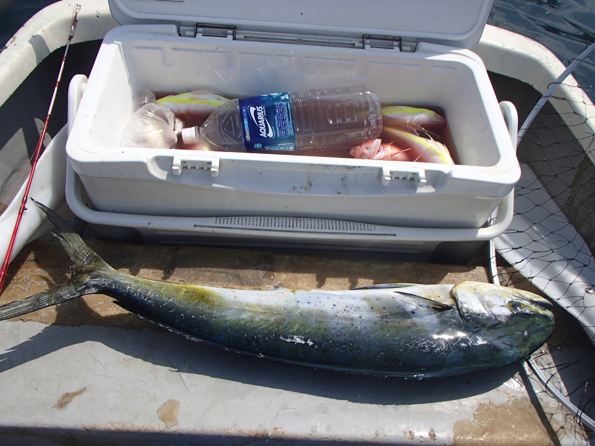 f:id:akihirofishing:20190420155259j:plain f:id:akihirofishing:20190420155259j:plain