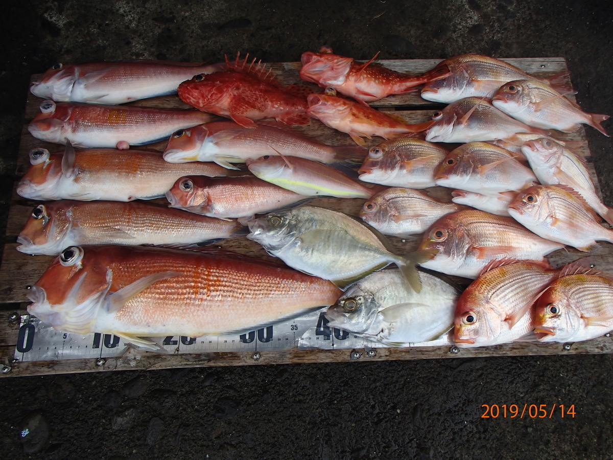 f:id:akihirofishing:20190515190657j:plain