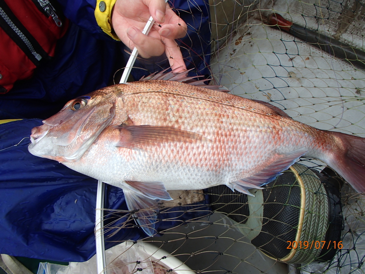 f:id:akihirofishing:20190717094130j:plain