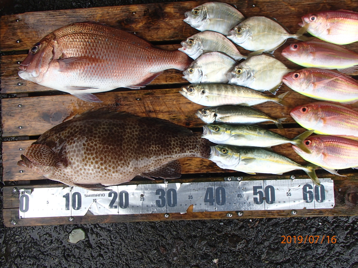 f:id:akihirofishing:20190717094205j:plain