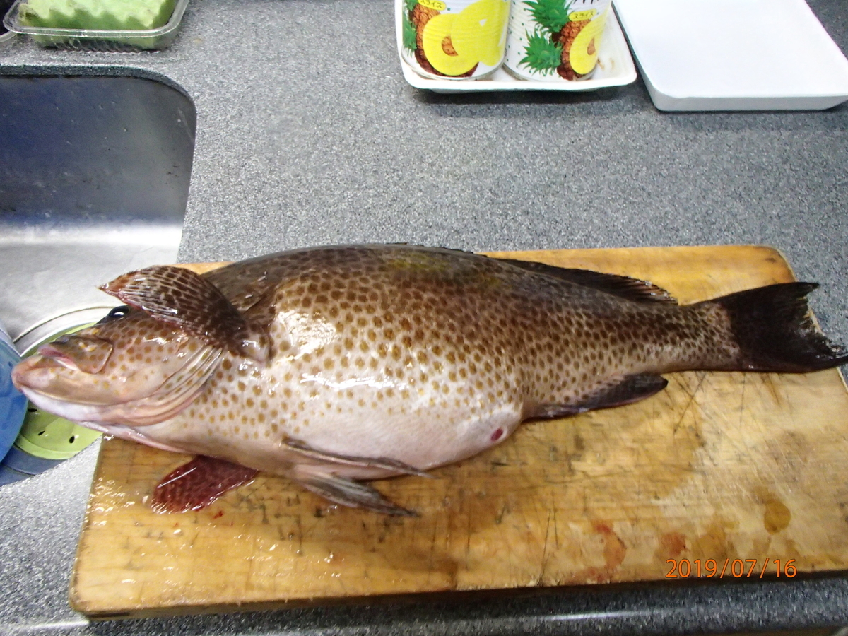f:id:akihirofishing:20190717094306j:plain