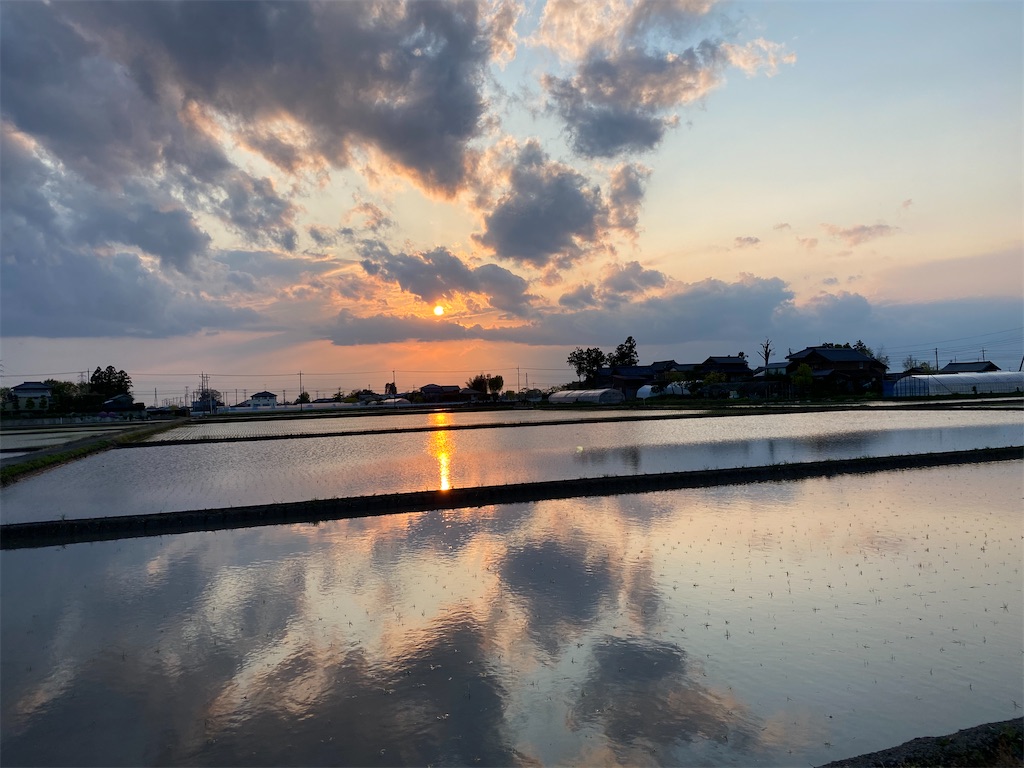f:id:akihirotakamori:20210619165947j:image