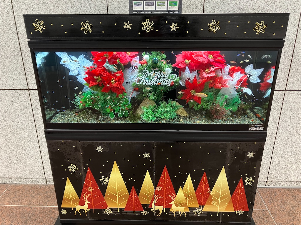 f:id:akihisa-aqua:20251121115948j:image