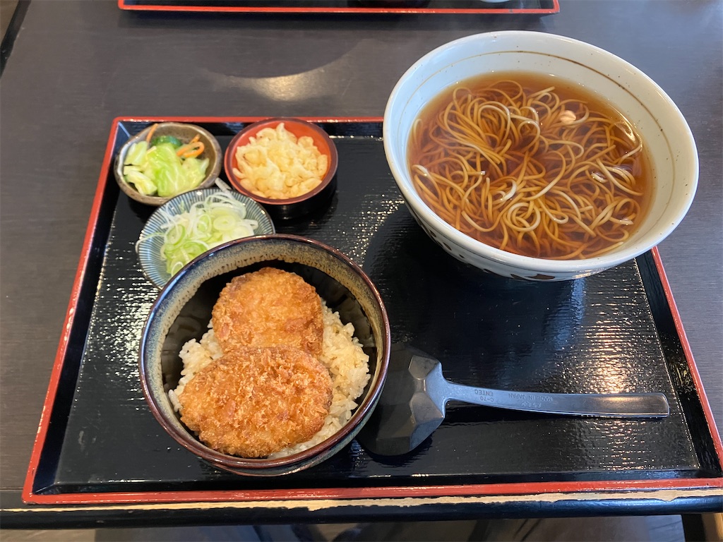 f:id:akihisa-aqua:20251122182733j:image