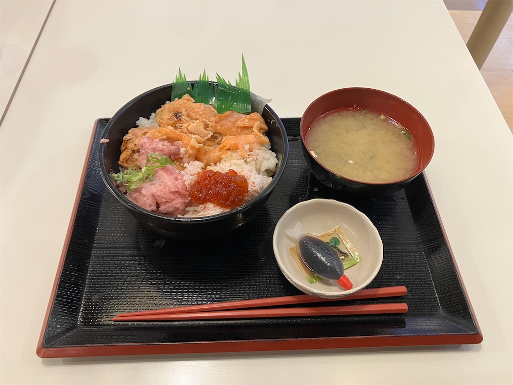 f:id:akihisa-aqua:20251122182800j:image