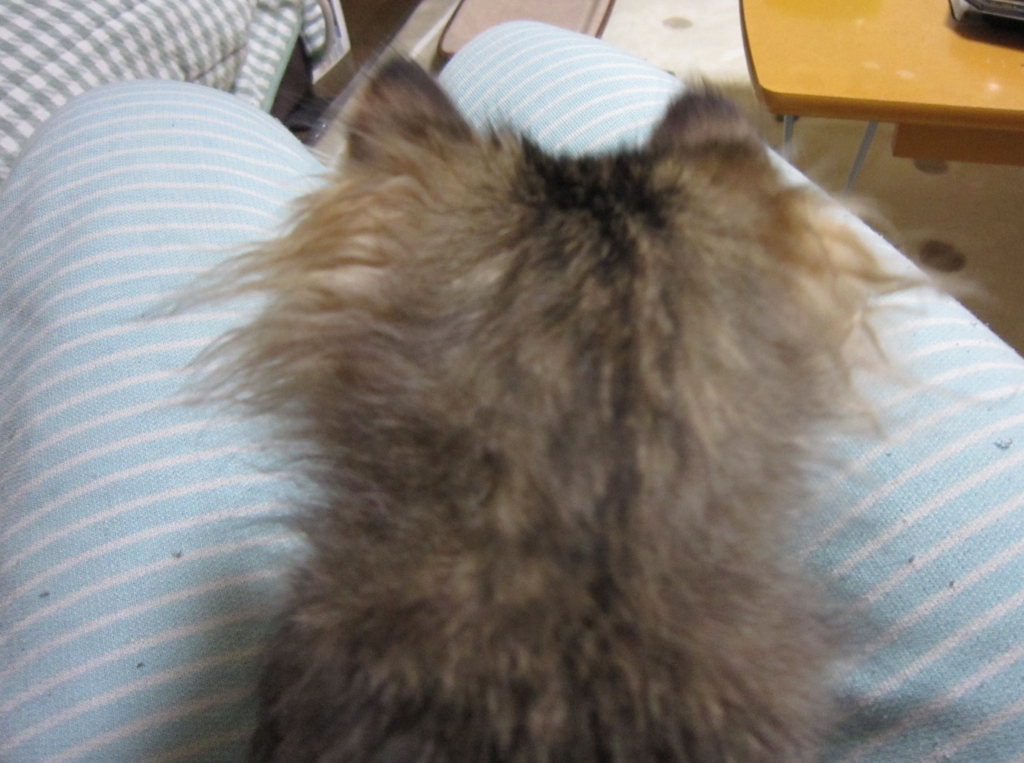 f:id:akihuooblog:20171008212746j:plain f:id:akihuooblog:20171008212746j:plain