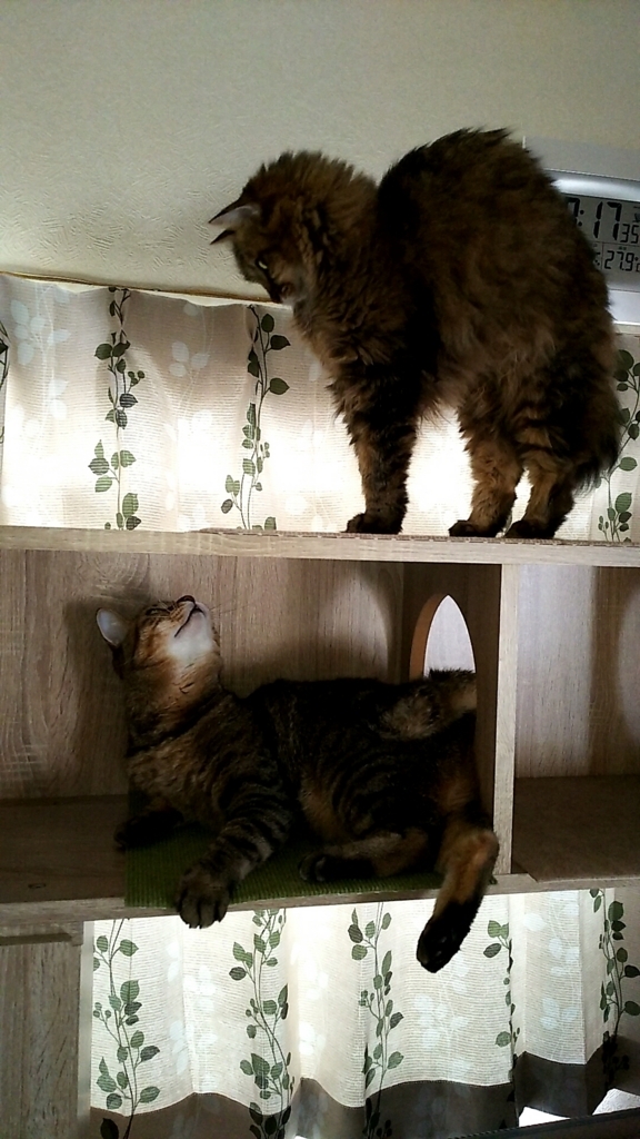 f:id:akihuooblog:20171014232539j:plain f:id:akihuooblog:20171014232539j:plain