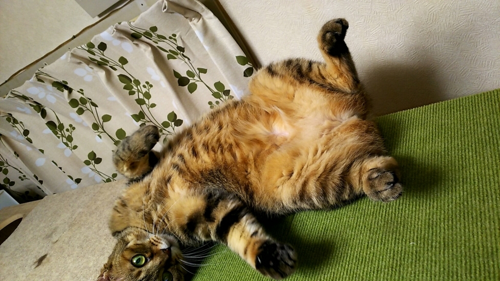 f:id:akihuooblog:20171014232724j:plain f:id:akihuooblog:20171014232724j:plain