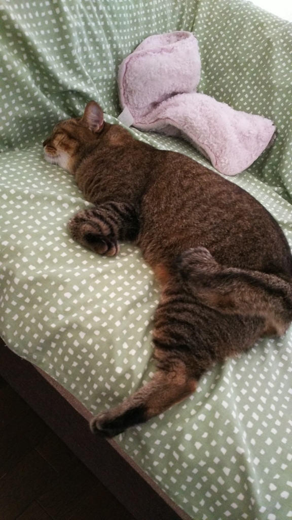 f:id:akihuooblog:20171019180010j:plain f:id:akihuooblog:20171019180010j:plain