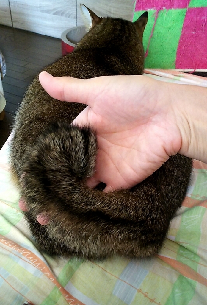 f:id:akihuooblog:20171025170007j:plain f:id:akihuooblog:20171025170007j:plain