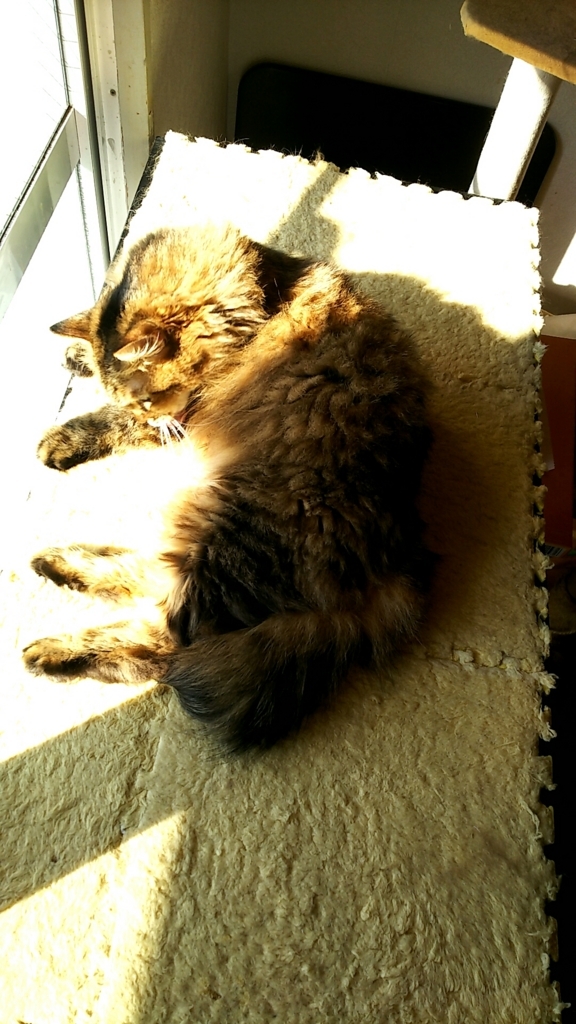 f:id:akihuooblog:20171026153925j:plain f:id:akihuooblog:20171026153925j:plain