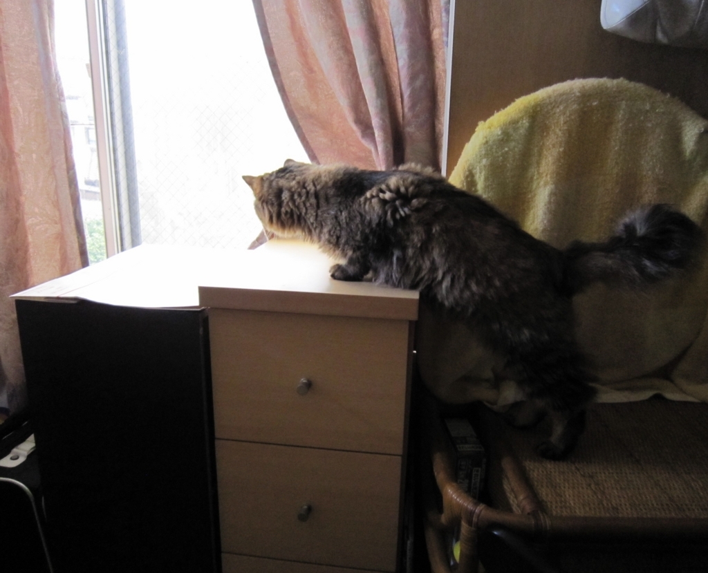 f:id:akihuooblog:20171106210001j:plain f:id:akihuooblog:20171106210001j:plain