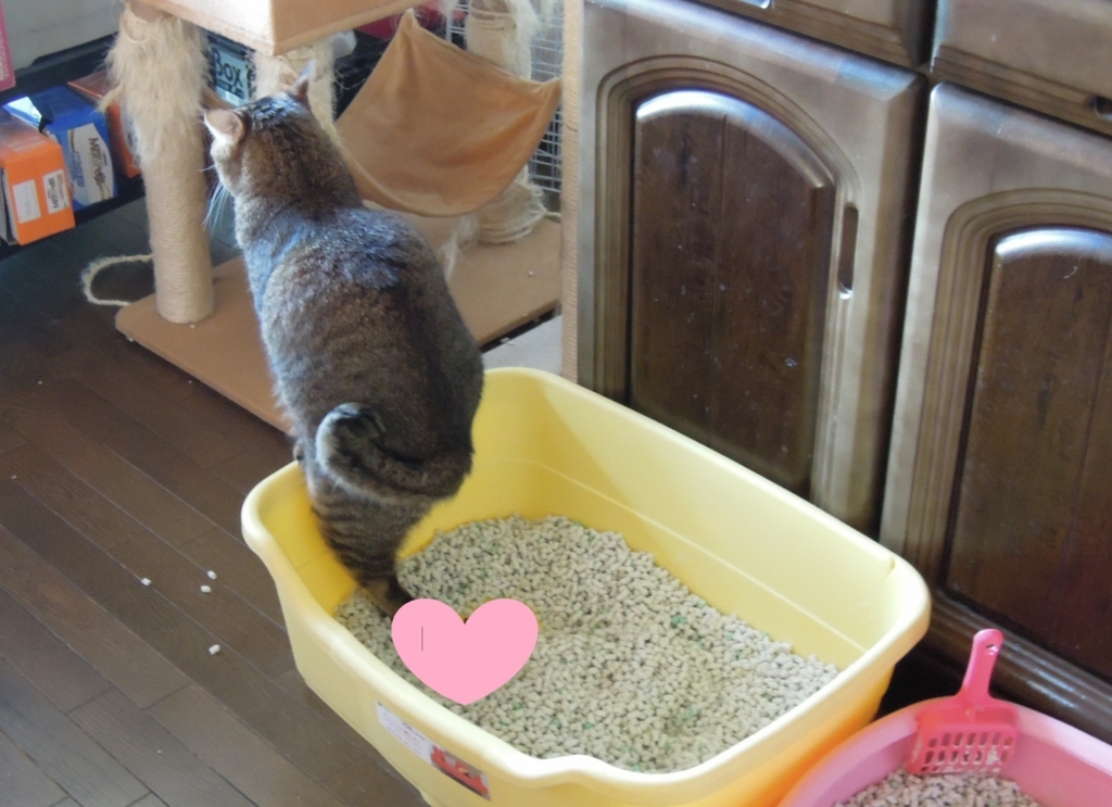 f:id:akihuooblog:20171107150246j:plain f:id:akihuooblog:20171107150246j:plain