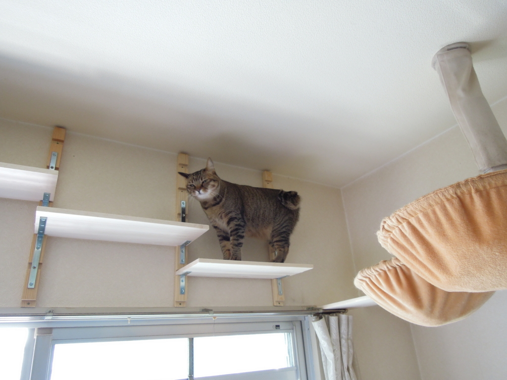 f:id:akihuooblog:20171110185917j:plain f:id:akihuooblog:20171110185917j:plain