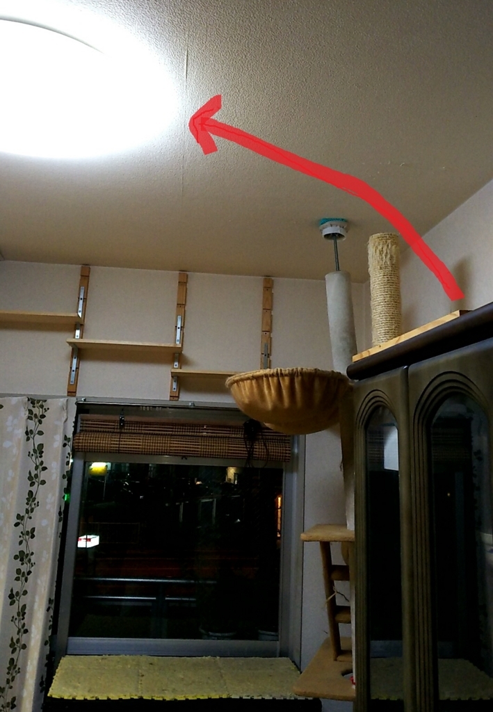 f:id:akihuooblog:20171110191840j:plain f:id:akihuooblog:20171110191840j:plain