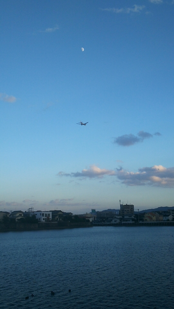 f:id:akihuooblog:20171113165215j:plain f:id:akihuooblog:20171113165215j:plain
