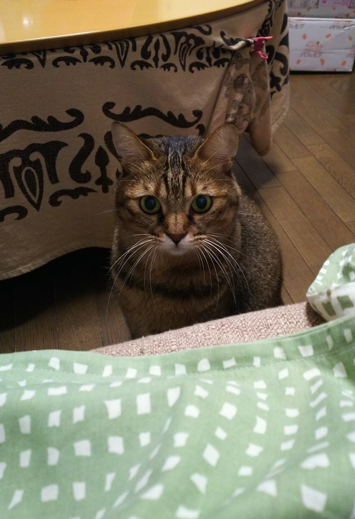 f:id:akihuooblog:20171115183640j:plain f:id:akihuooblog:20171115183640j:plain