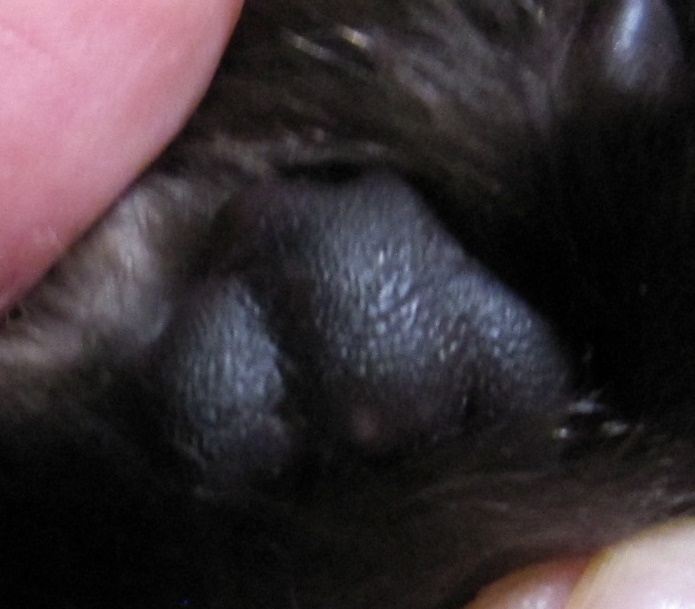 f:id:akihuooblog:20171223232545j:plain f:id:akihuooblog:20171223232545j:plain