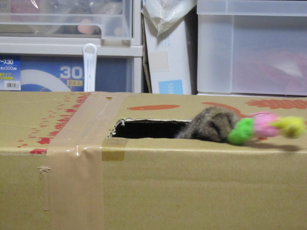 f:id:akihuooblog:20171227173926j:plain f:id:akihuooblog:20171227173926j:plain
