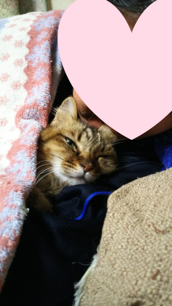 f:id:akihuooblog:20180105231719j:plain
