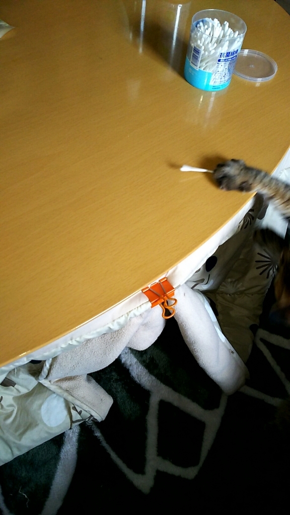 f:id:akihuooblog:20180116120804j:plain f:id:akihuooblog:20180116120804j:plain