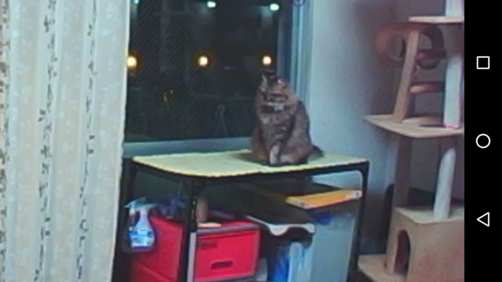 f:id:akihuooblog:20180116160149p:plain f:id:akihuooblog:20180116160149p:plain