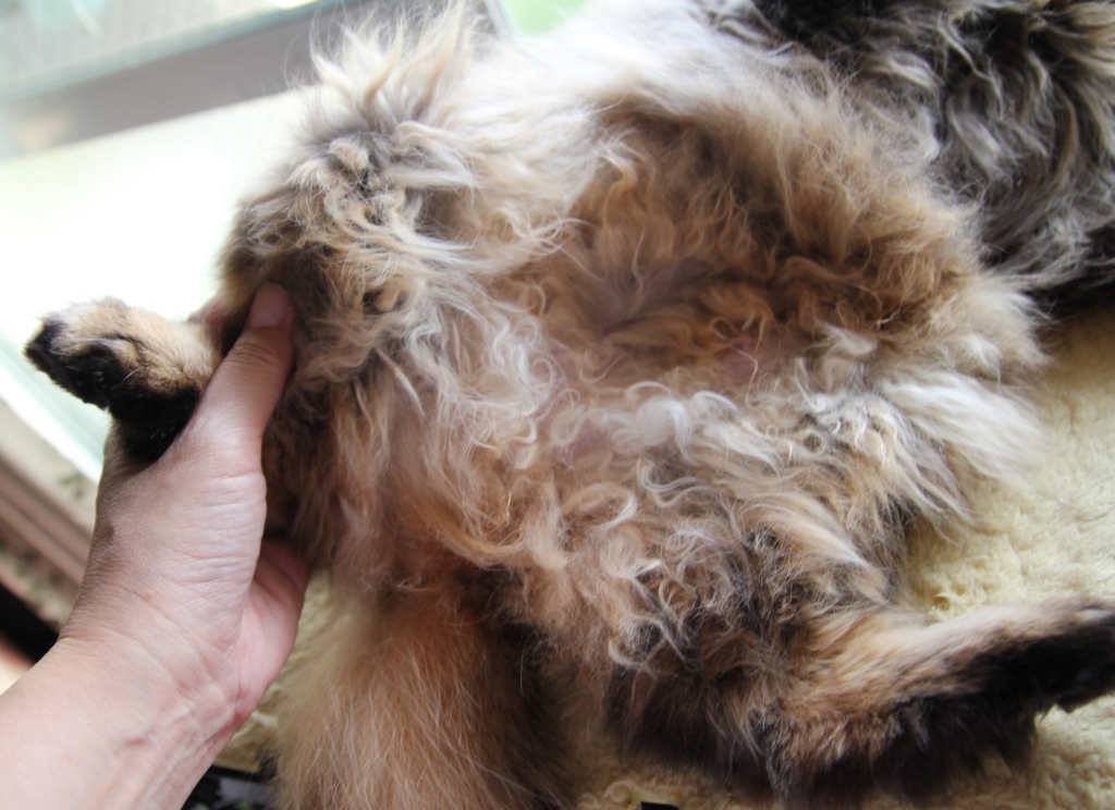 f:id:akihuooblog:20180116172243j:plain f:id:akihuooblog:20180116172243j:plain