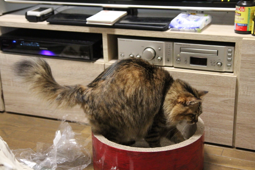 f:id:akihuooblog:20180116172759j:plain f:id:akihuooblog:20180116172759j:plain