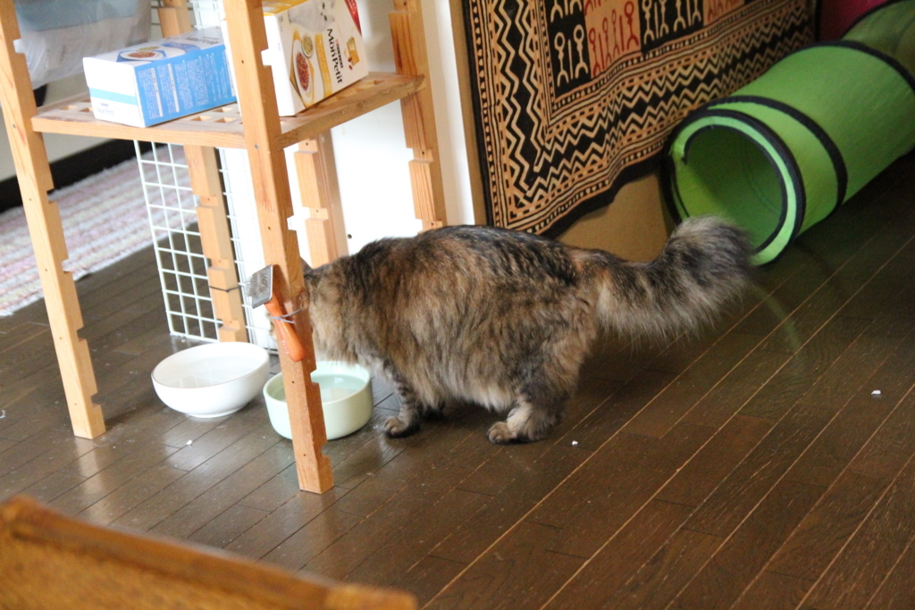 f:id:akihuooblog:20180116172951j:plain f:id:akihuooblog:20180116172951j:plain