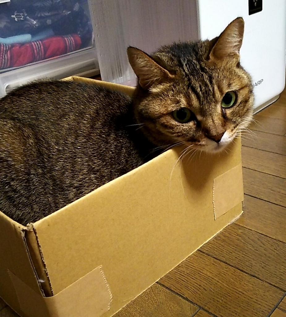 f:id:akihuooblog:20180127225629j:plain f:id:akihuooblog:20180127225629j:plain