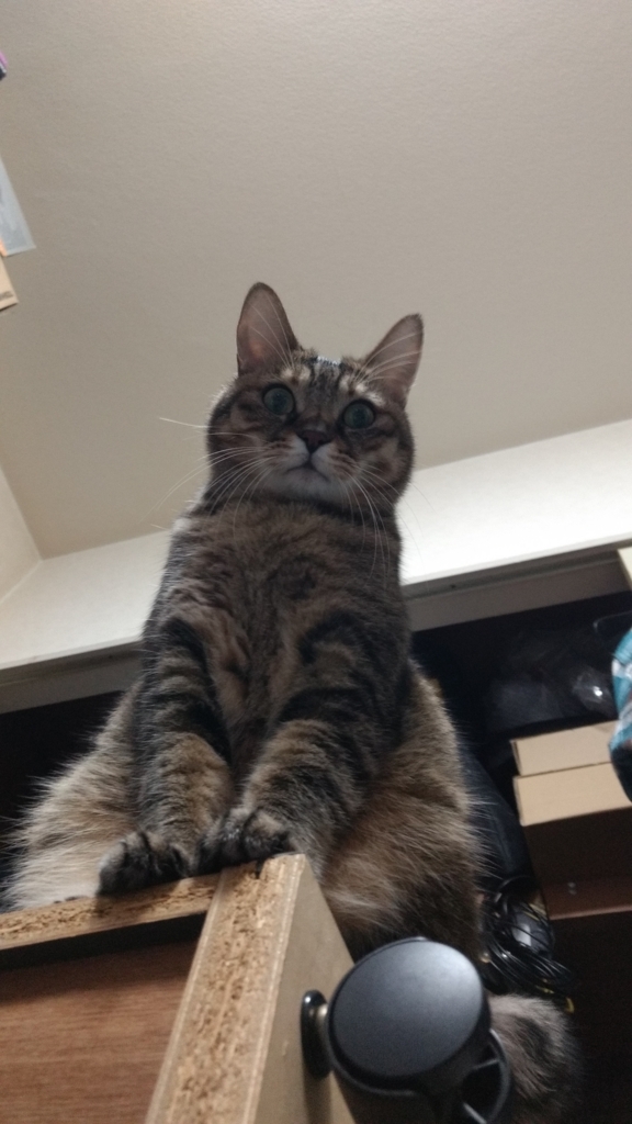 f:id:akihuooblog:20180425145642j:plain