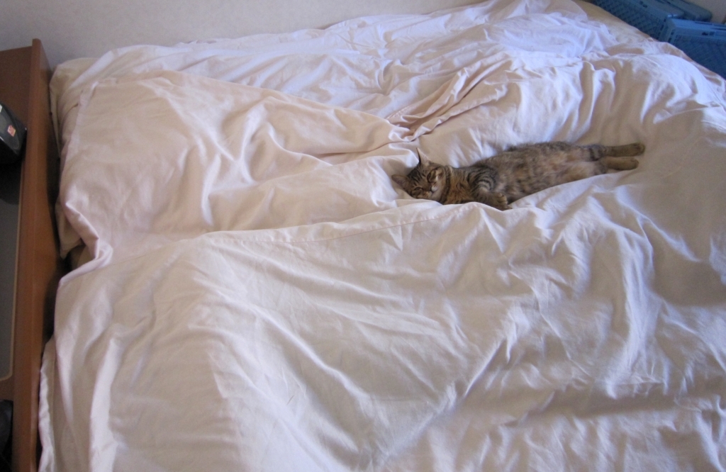 f:id:akihuooblog:20180427144459j:plain f:id:akihuooblog:20180427144459j:plain