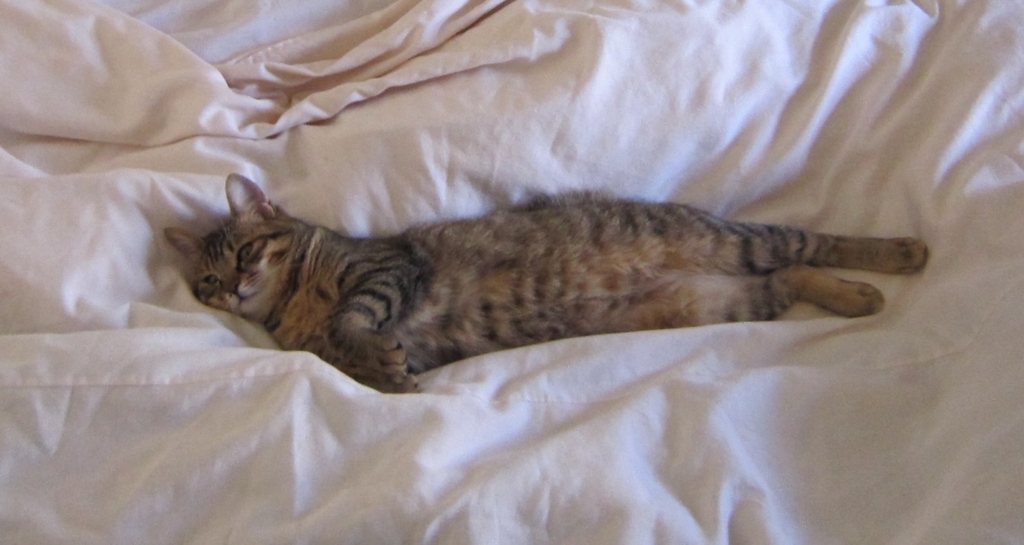 f:id:akihuooblog:20180427144546j:plain f:id:akihuooblog:20180427144546j:plain