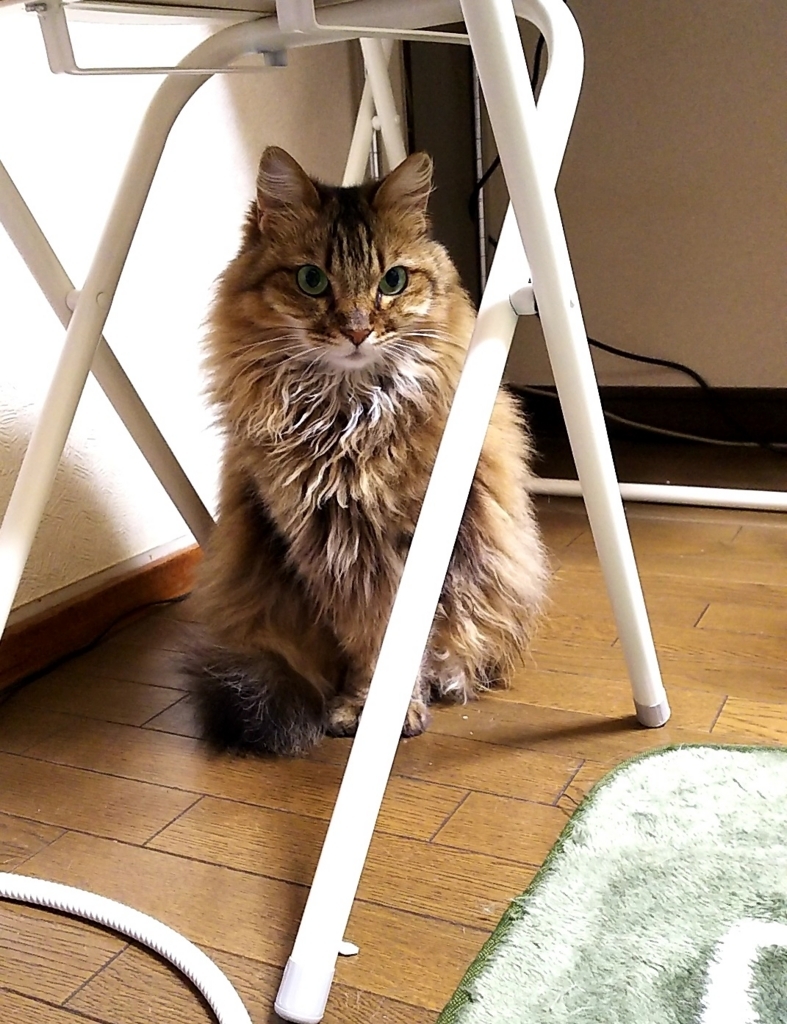 f:id:akihuooblog:20180521230938j:plain