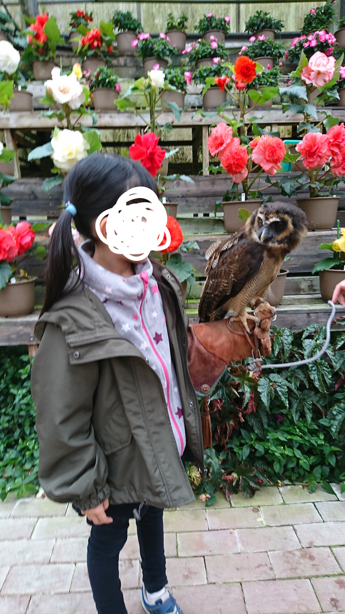 f:id:akiiroakiiro:20190529131342j:plain