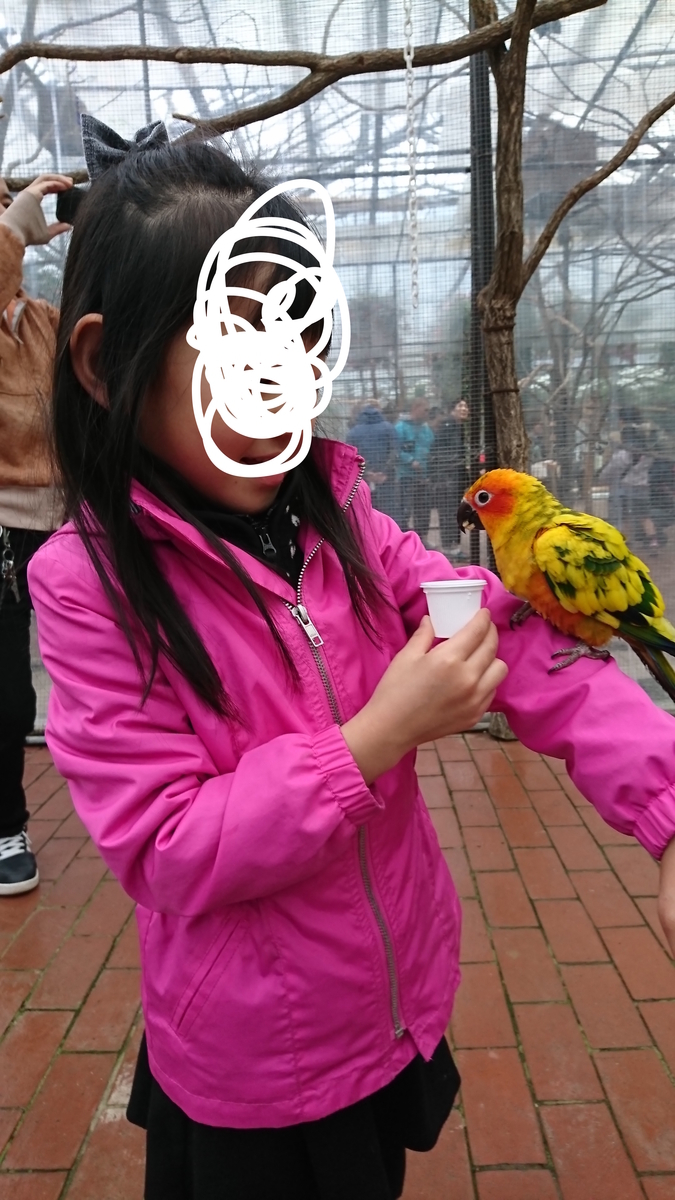 f:id:akiiroakiiro:20190529132651j:plain