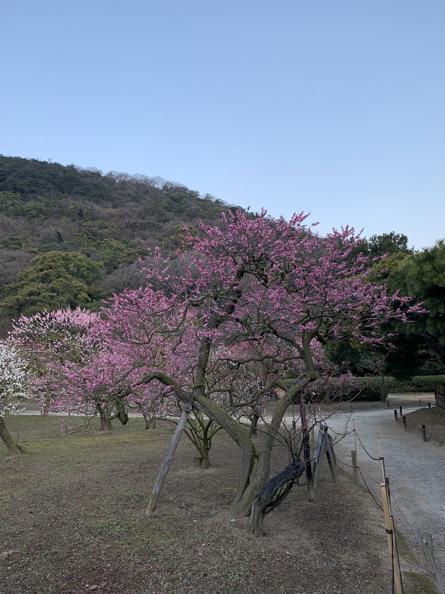 f:id:akijironotabi:20200513182001j:plain