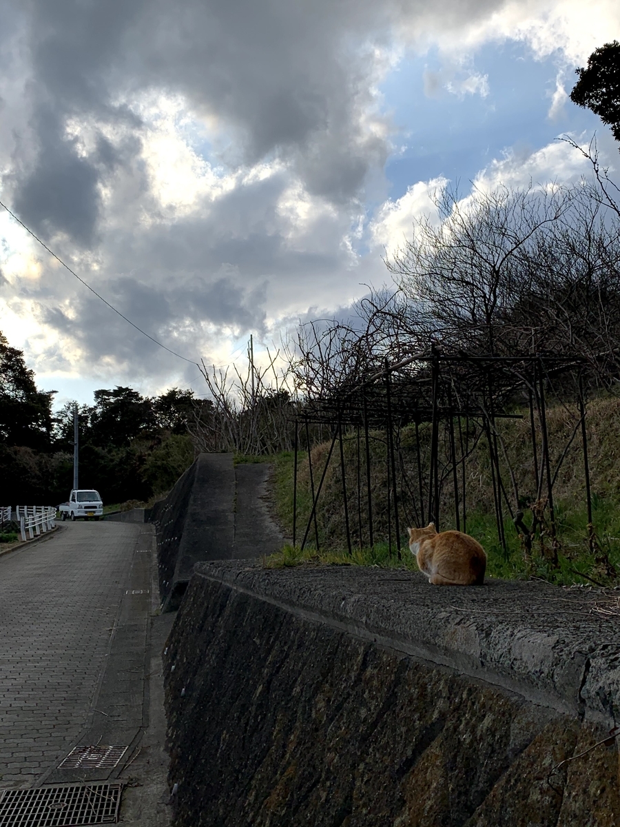 f:id:akijironotabi:20200613031111j:plain