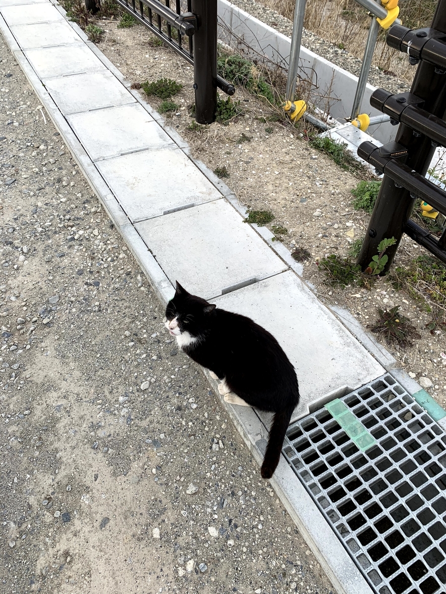 f:id:akijironotabi:20200613032849j:plain