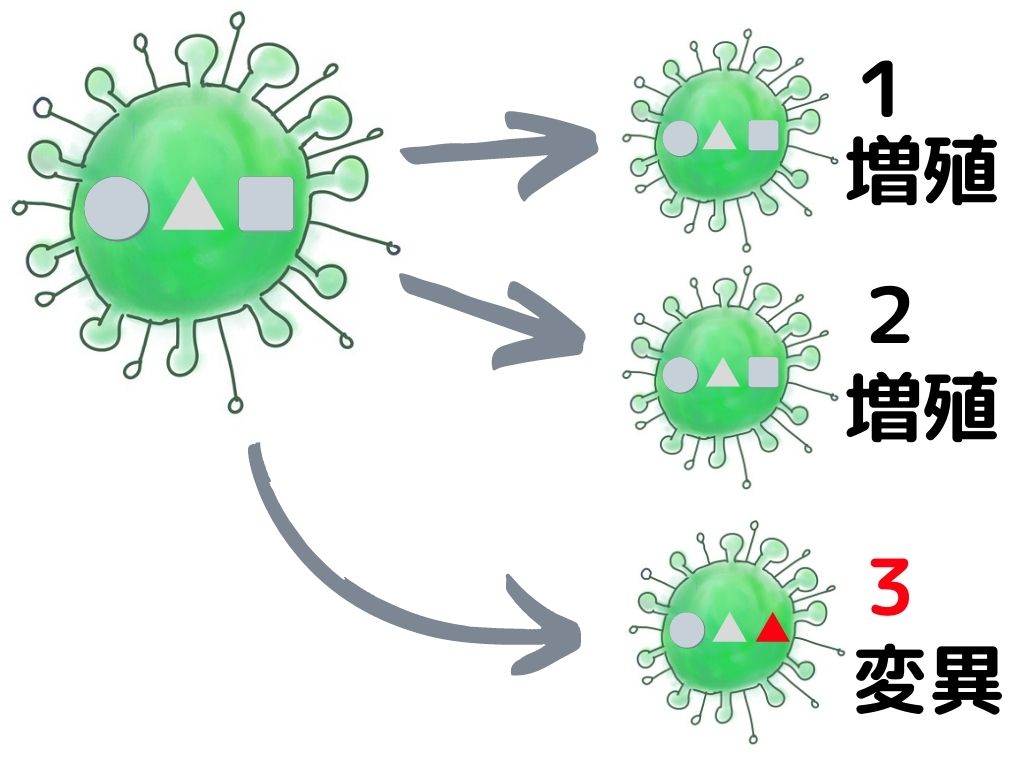 f:id:akikamishiro:20210320075322j:plain