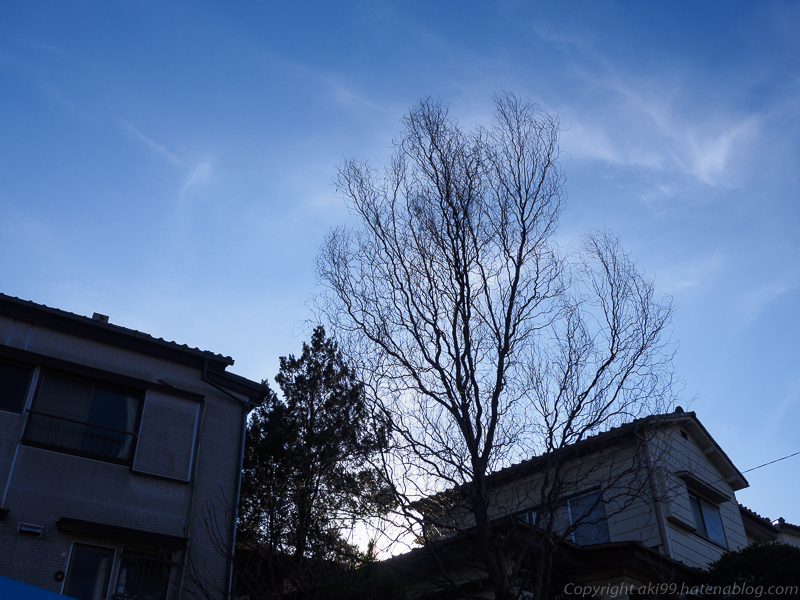 f:id:akikana99:20170128195915j:plain f:id:akikana99:20170128195915j:plain