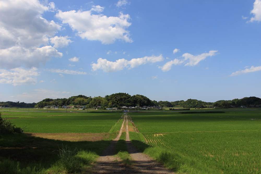 f:id:akikazesannn:20200512160046j:plain f:id:akikazesannn:20200512160046j:plain