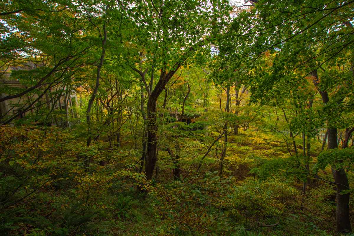 f:id:akikazesya:20200414201223j:plain