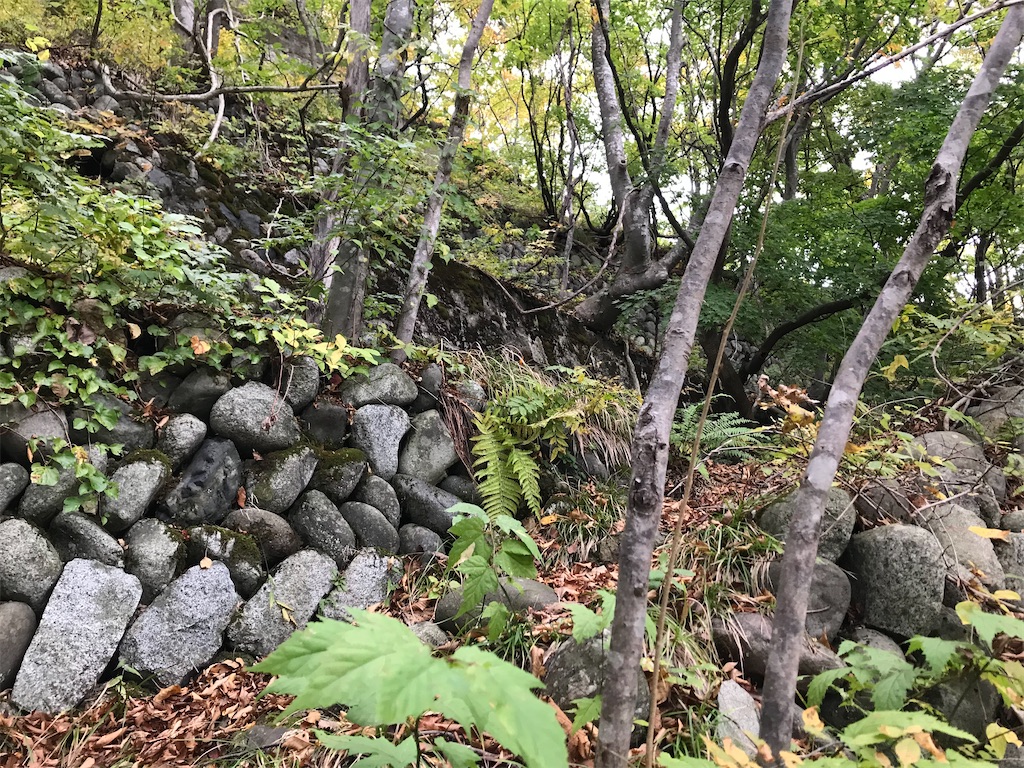 f:id:akikazesya:20200414203039j:image