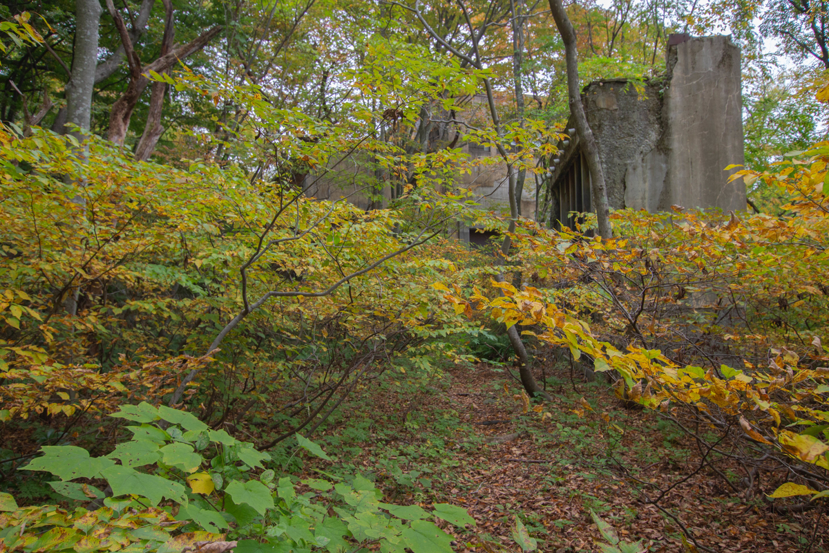 f:id:akikazesya:20200414210044j:plain