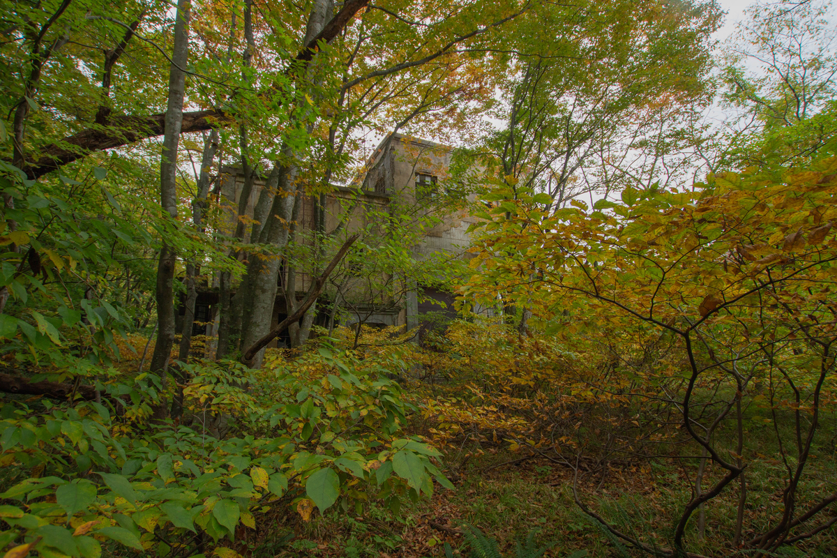 f:id:akikazesya:20200414210059j:plain