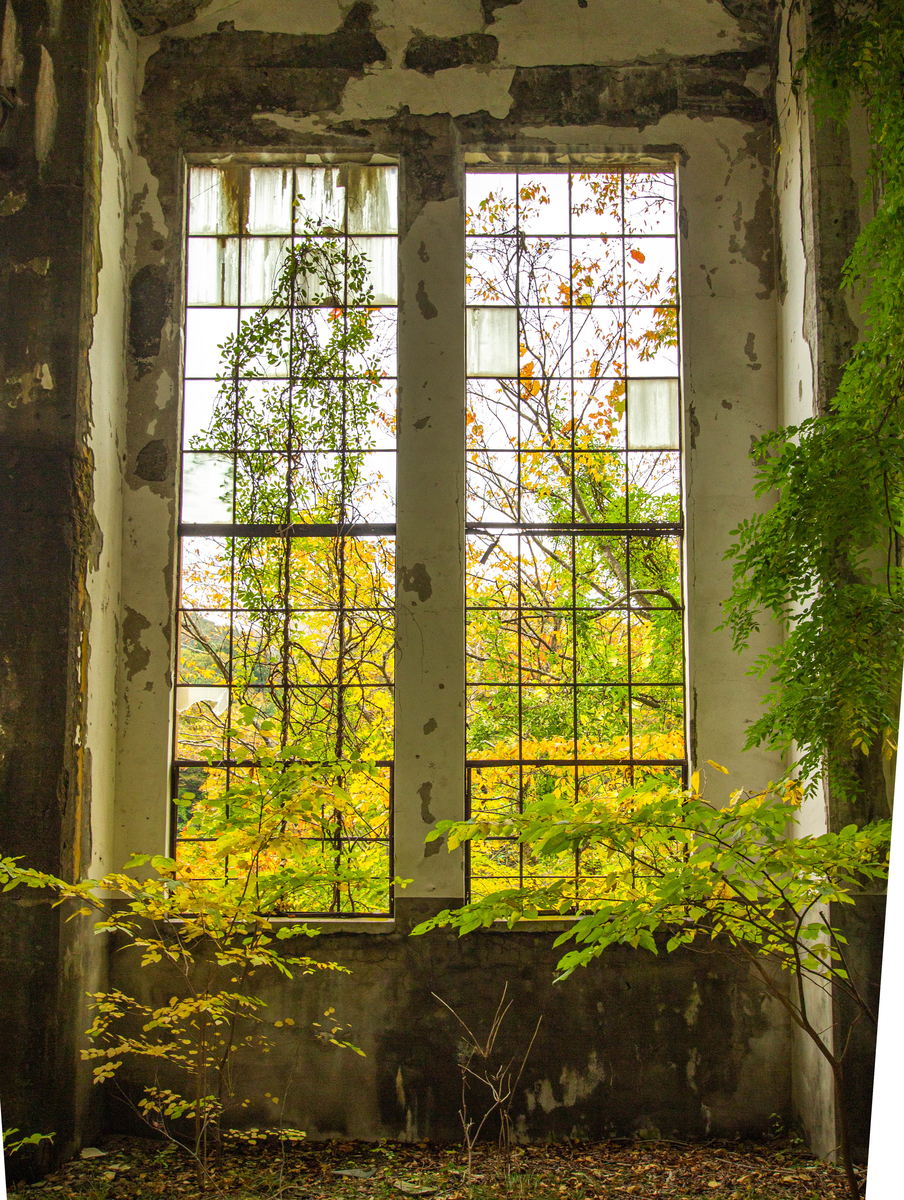 f:id:akikazesya:20200418150003j:plain