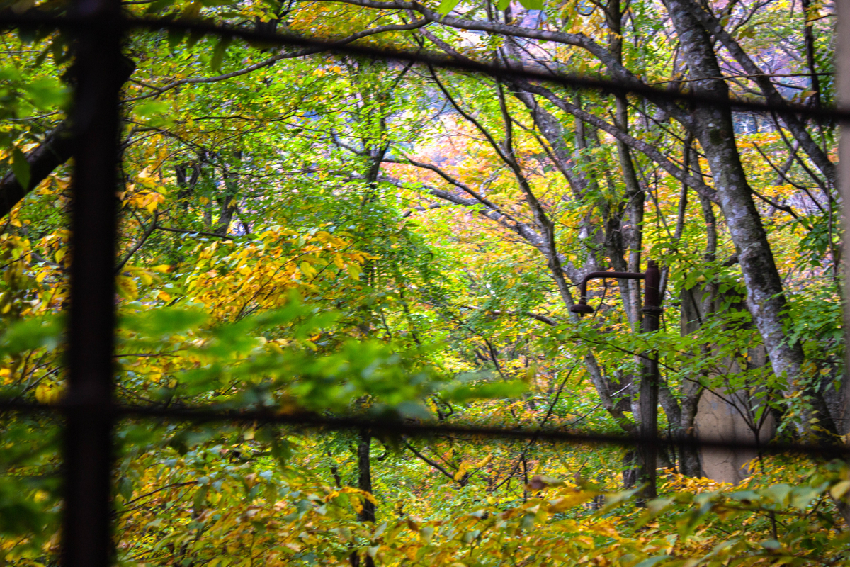 f:id:akikazesya:20200419231258j:plain