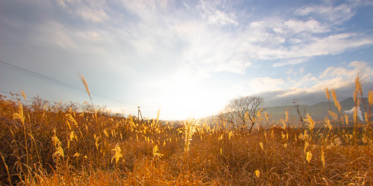 f:id:akikazesya:20200805074321j:plain